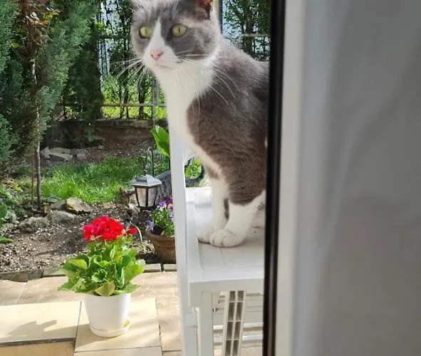 A&d Appartamento Pančevo